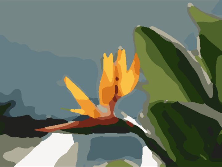 Each form of the flower and leaves in three notes: its light, its local color and its shadow